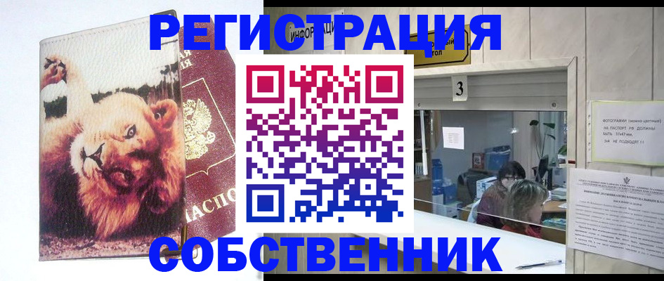 прописка поиск в Канске